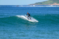 Mona_Vale_220816_105224_0020