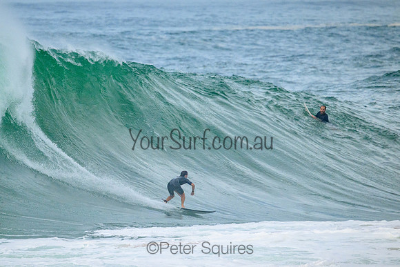 Avalon_220305_094114_0026