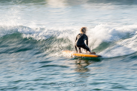 Avalon_200905_07-28-18_0096