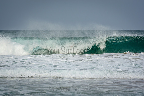 Palm_Beach_170317_080837_0351