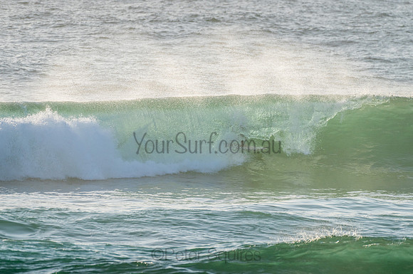 Avalon_210204_071933_0125