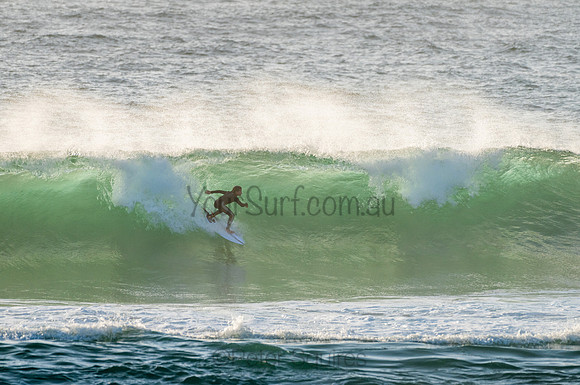 Avalon_210204_071733_0111