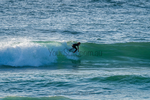 Avalon_210204_073602_0190