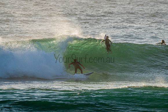 Avalon_210204_071057_0024