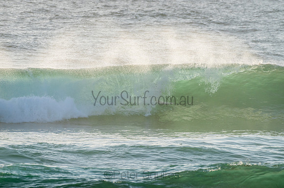 Avalon_210204_071933_0124