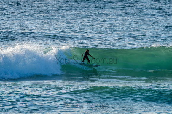 Avalon_210204_073602_0191
