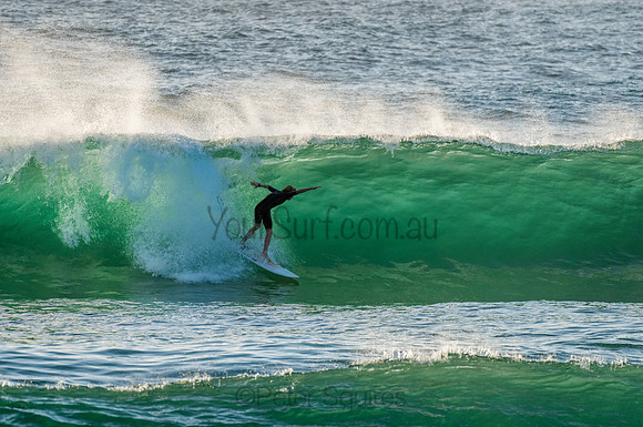 Avalon_210204_071519_0074