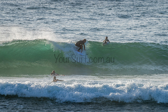 Avalon_210204_073448_0178