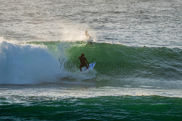 Avalon_210204_071057_0025