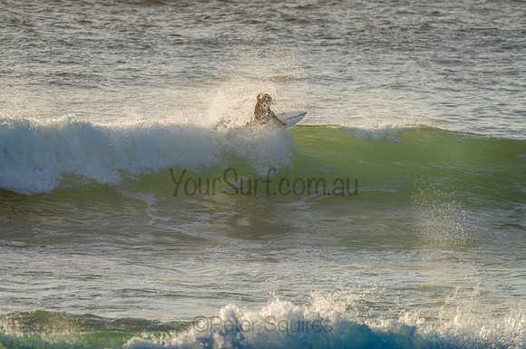 Avalon_210204_070743_0012