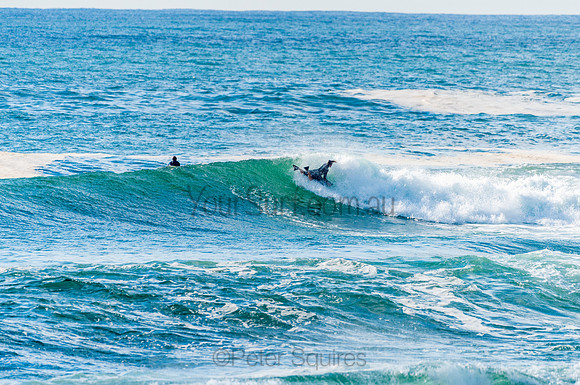 Avalon_201028_08.12.01_0195