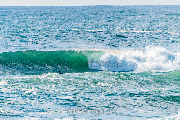 Avalon_201028_08.05.02_0163