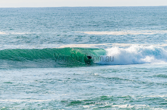 Avalon_201028_07.46.55_0050
