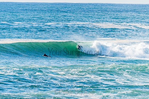 Avalon_201028_08.12.00_0193