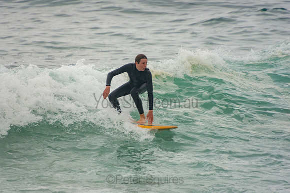 Avalon_201007_11-42-37_0239