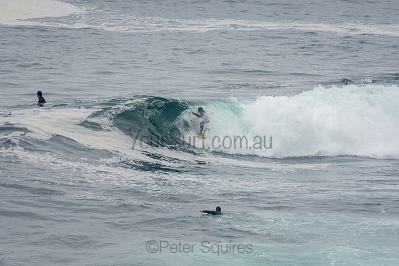 Avalon_201007_12-53-52_0383