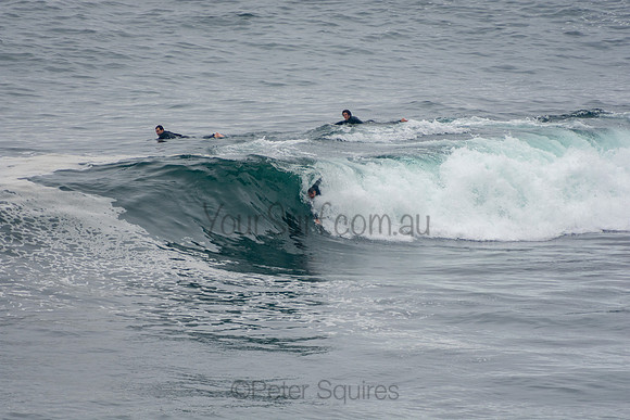 Avalon_201007_12-53-24_0377