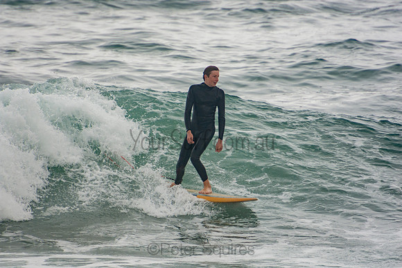 Avalon_201007_11-35-48_0152