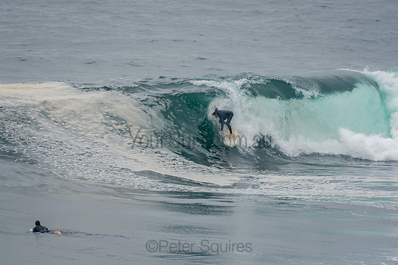 Avalon_201007_13-06-47_0425