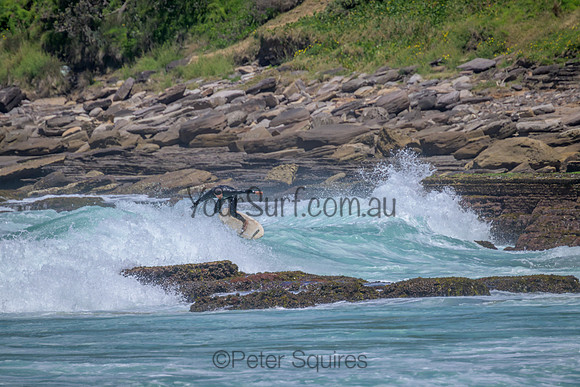 Avalon_221122_125850_0169