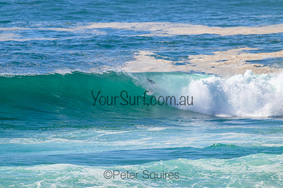 Avalon_221124_085141_0062