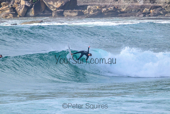 Avalon_221125_082018_0079