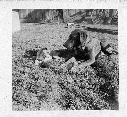 mum_dad140_
