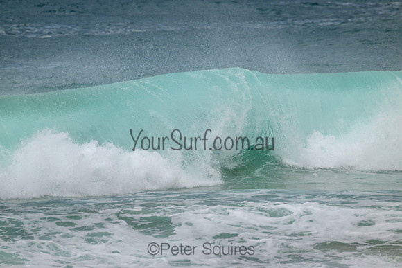 Palm_Beach_220207_150543_0085