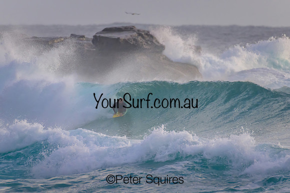 Whale_Beach_230108_065643_0018