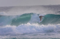 Whale_Beach_230108_065514_0012