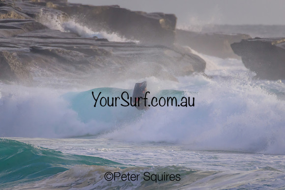 Whale_Beach_230108_065646_0036