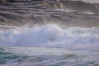 Whale_Beach_230108_065647_0043