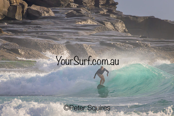 Whale_Beach_230108_070545_0161