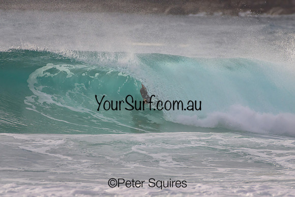Whale_Beach_230108_072650_0530