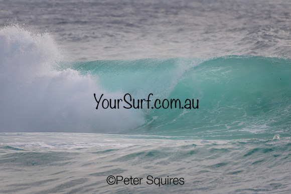 Whale_Beach_230108_073318_0619
