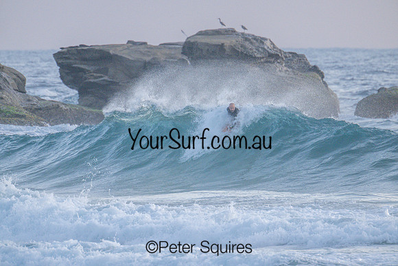Whale_Beach_230125_063405_0005