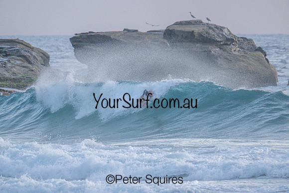 Whale_Beach_230125_063405_0007