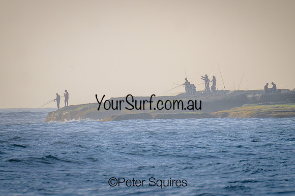 Whale_Beach_230126_073619_0086