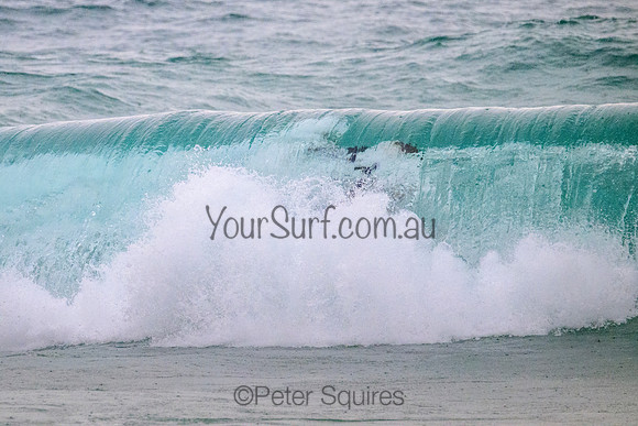 Warriewood_220222_115050_0141