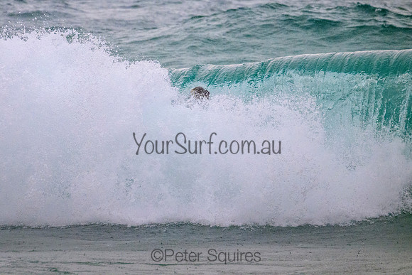 Warriewood_220222_115050_0145