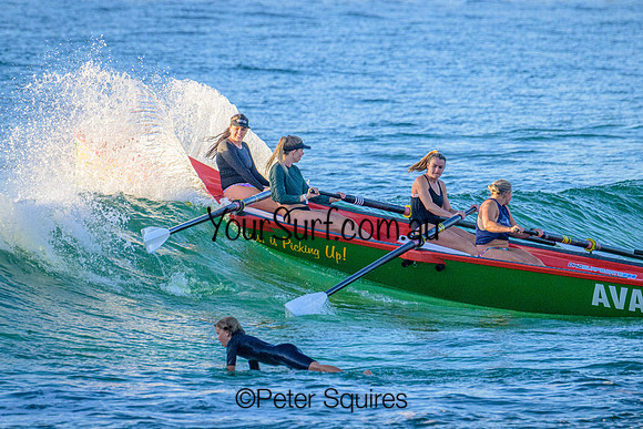 Avalon_230205_065420_0027
