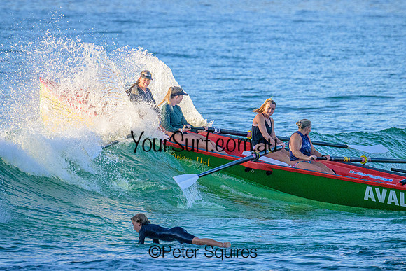 Avalon_230205_065420_0028