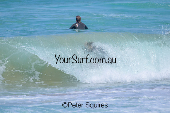 Mona_Vale_230208_143005_0090