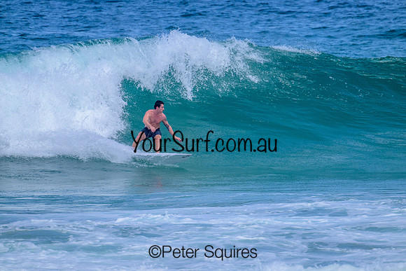 Mona_Vale_230208_144330_0135