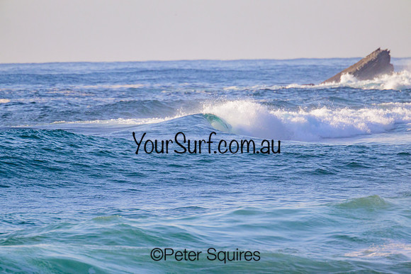 Avalon_230210_073905_0107