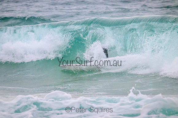 Warriewood_220222_115310_0167