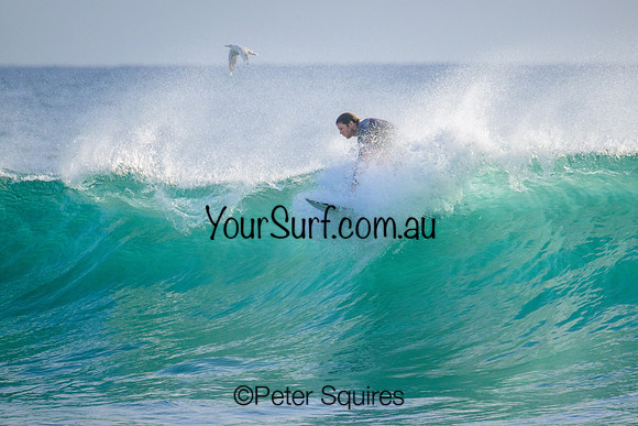 Warriewood_230227_080044_00071