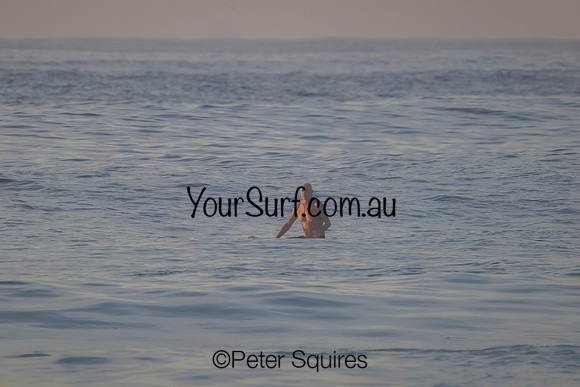 Avalon_230316_071013_00077