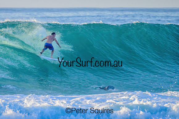 Avalon_230316_073434_00703