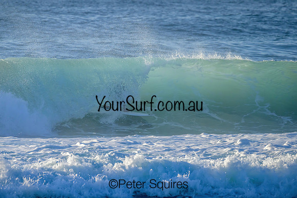 Avalon_230316_075050_01044